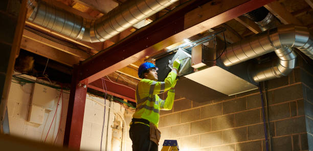 Best Local Air Duct Cleaning Services  in Bellview, FL